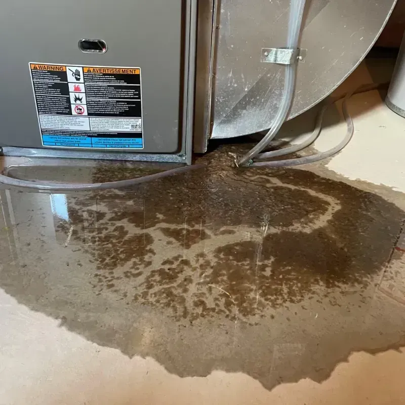 Appliance Leak Cleanup in New Waverly, TX